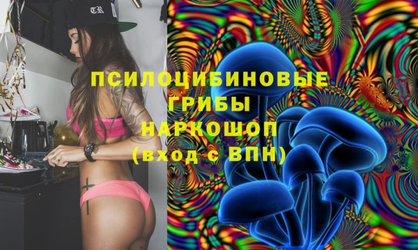 spice Баксан
