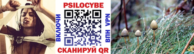 ОМГ ОМГ ONION  Губаха  Псилоцибиновые грибы Psilocybe 