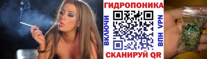 Канабис конопля  Губаха 
